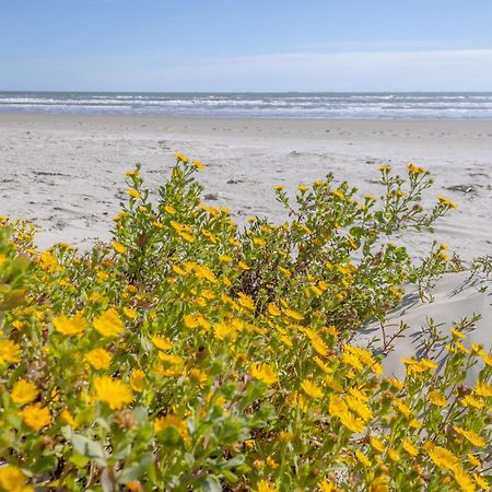 Islander East Condominiums Galveston Luaran gambar